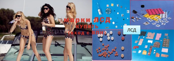 сатива Кулебаки