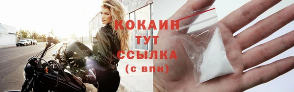 шишки Кукмор