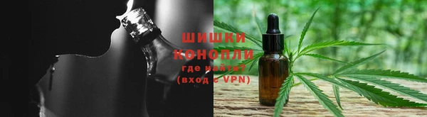 сатива Кулебаки