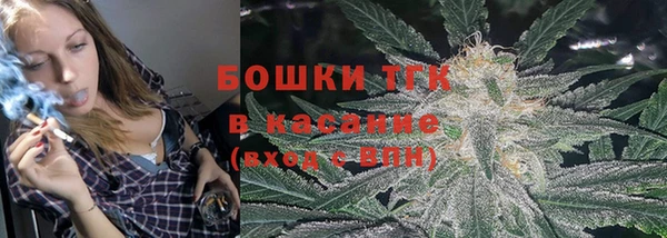 сатива Кулебаки