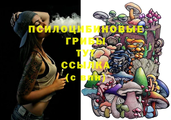 шишки Кукмор