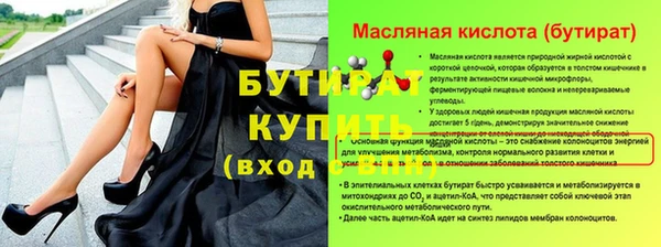 сатива Кулебаки