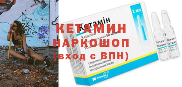 сатива Кулебаки
