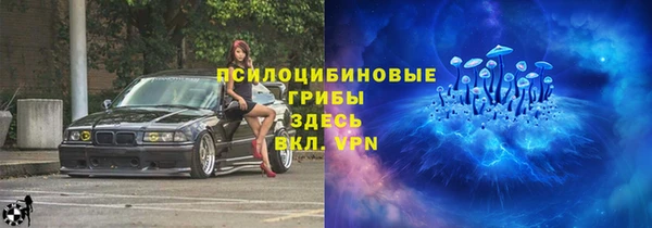 сатива Кулебаки