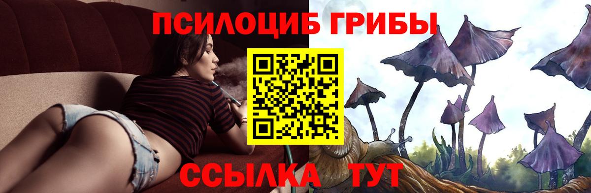 Галлюциногенные грибы GOLDEN TEACHER  Тында  Галлюциногенные грибы Psilocybine cubensis 