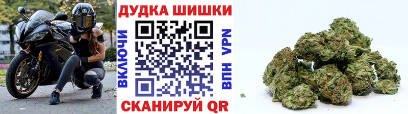 наркошоп  Тында  Бошки Шишки гибрид 